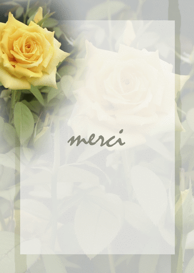 Remerciements condol&eacute;ances avec une fleur jaune